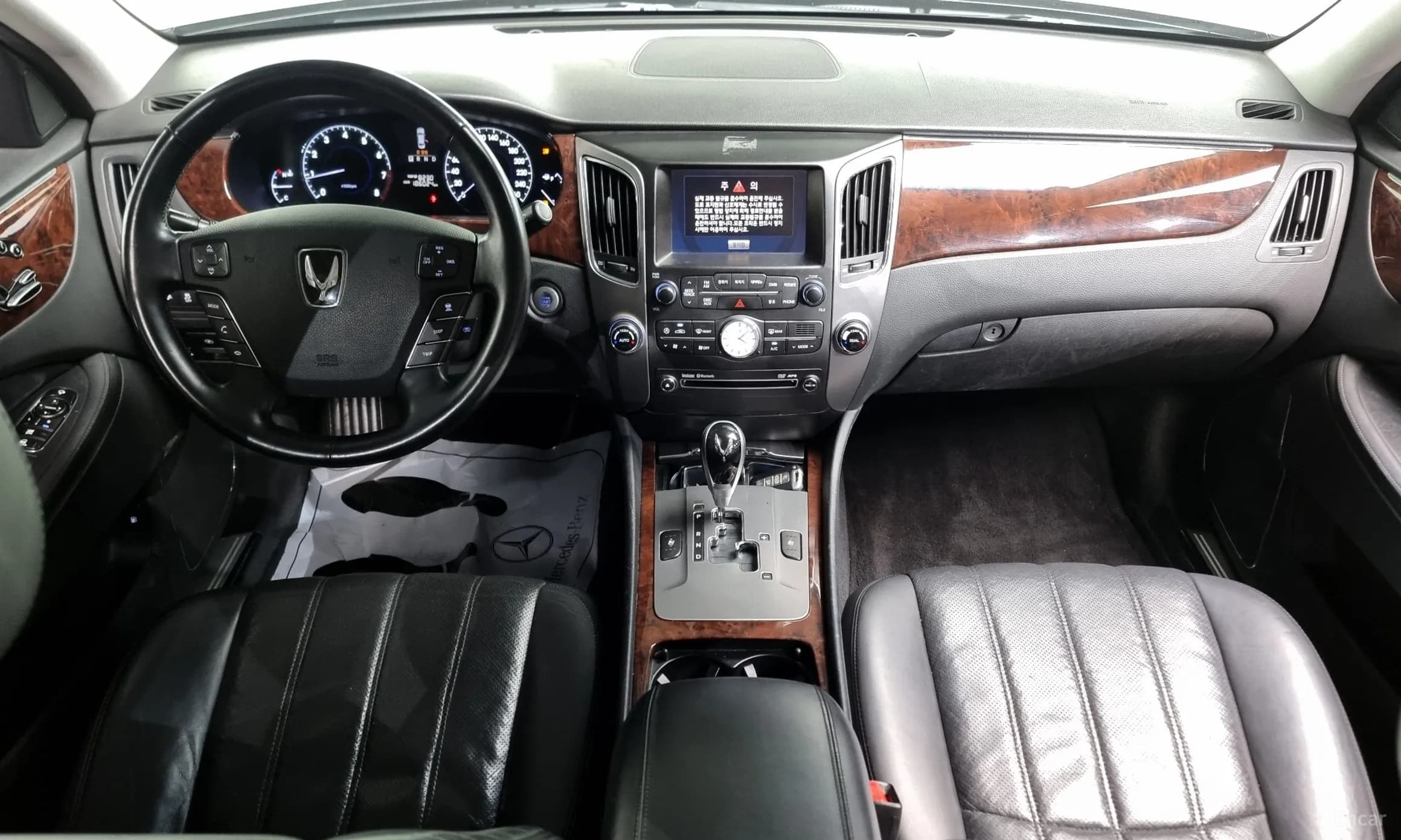Equus (new)