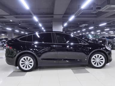 Model X