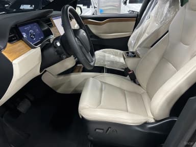 Model X