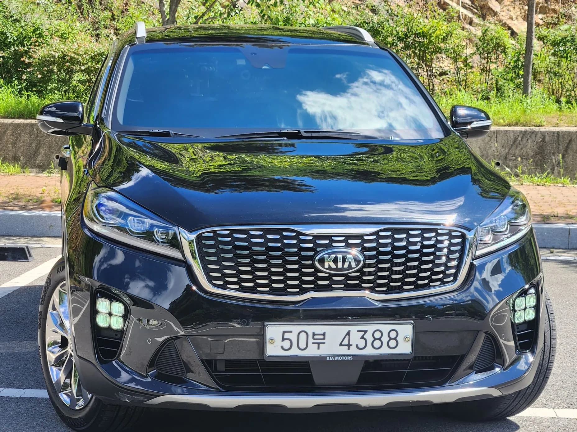 Sorento
