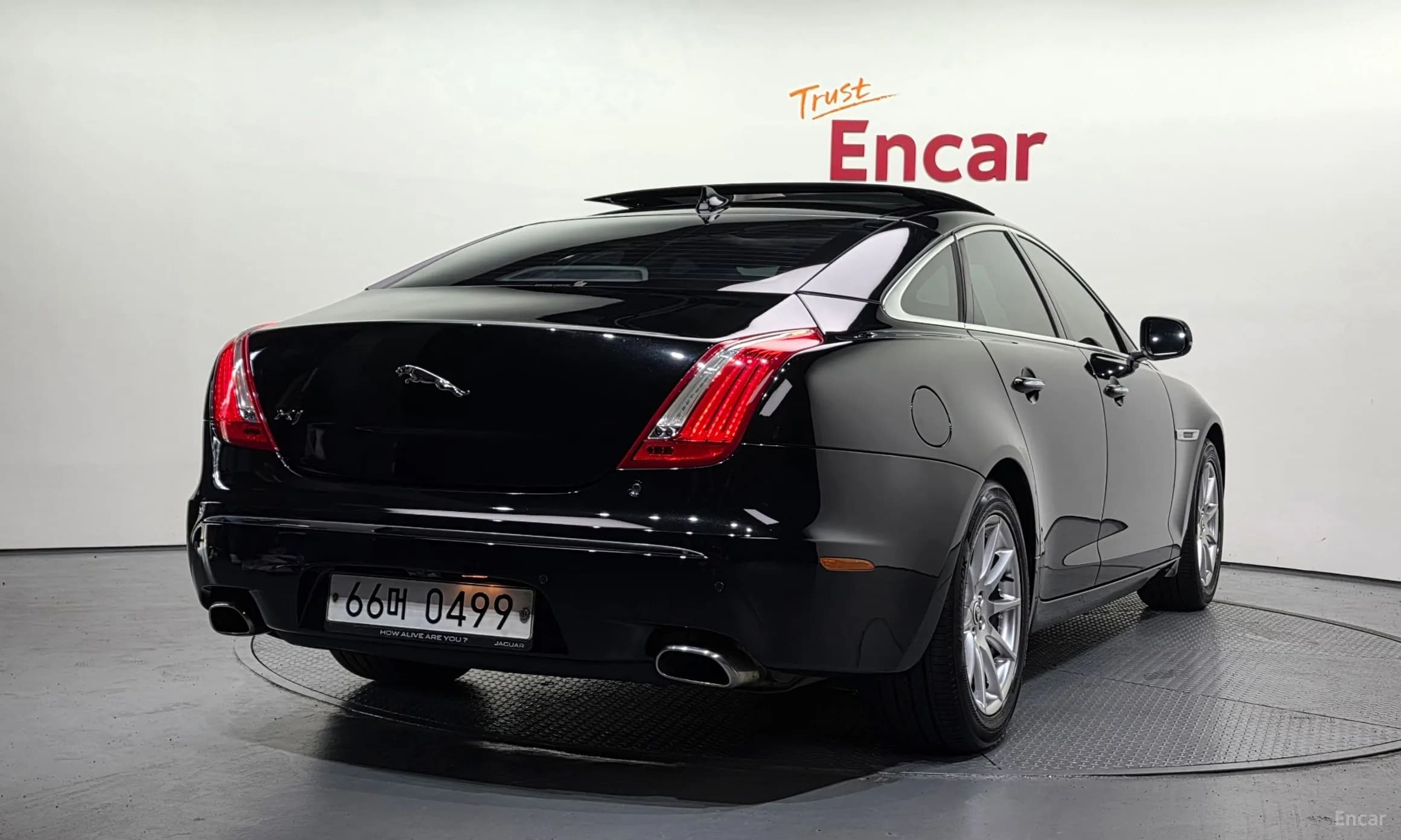 All New XJ