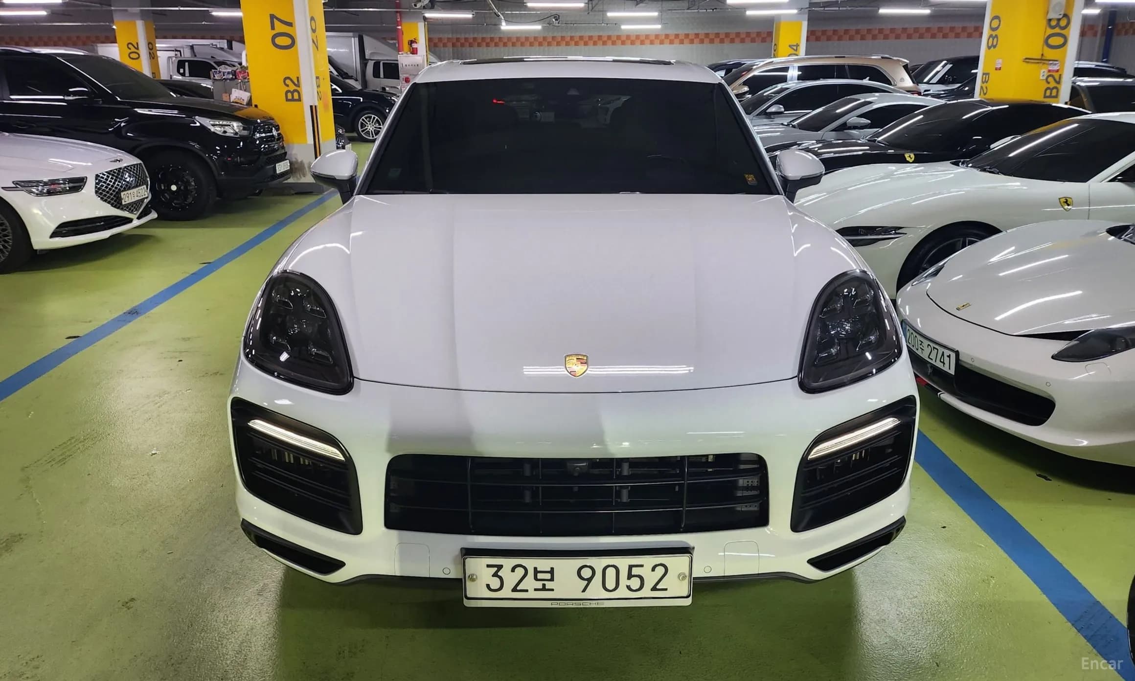 Cayenne (PO536)