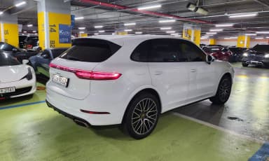 Cayenne (PO536)