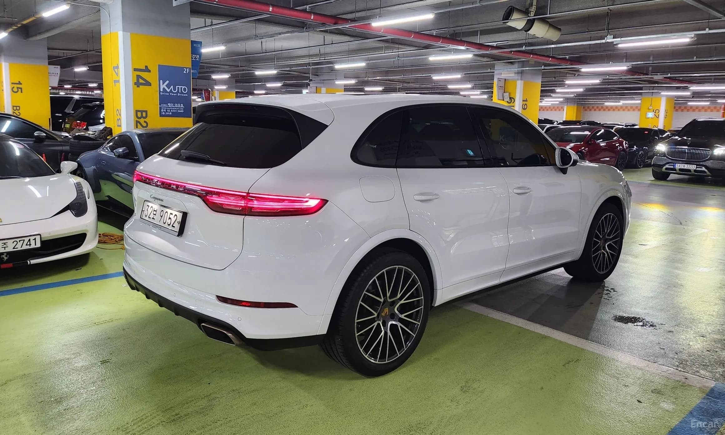 Cayenne (PO536)