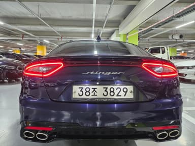 Stinger