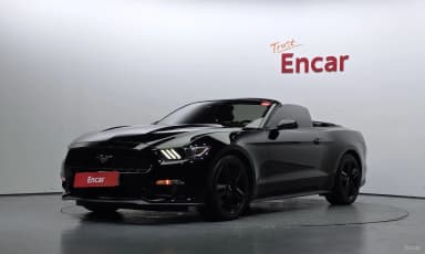 Mustang