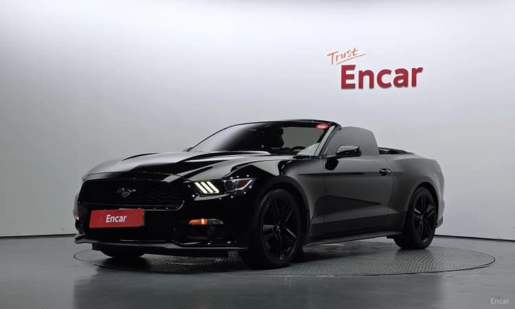 Mustang