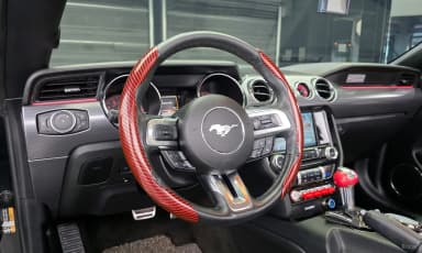 Mustang