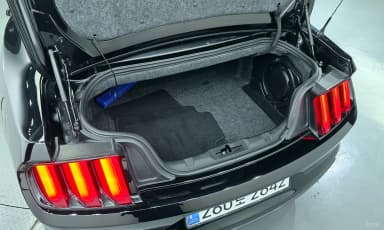 Mustang