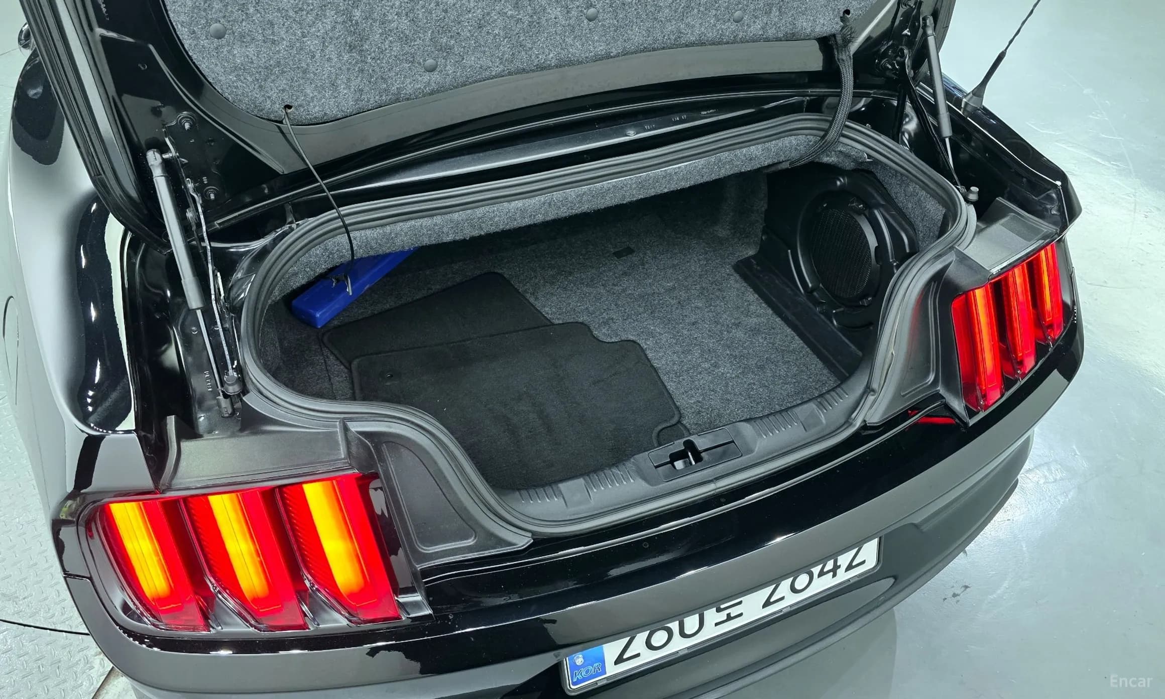 Mustang