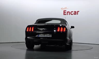 Mustang