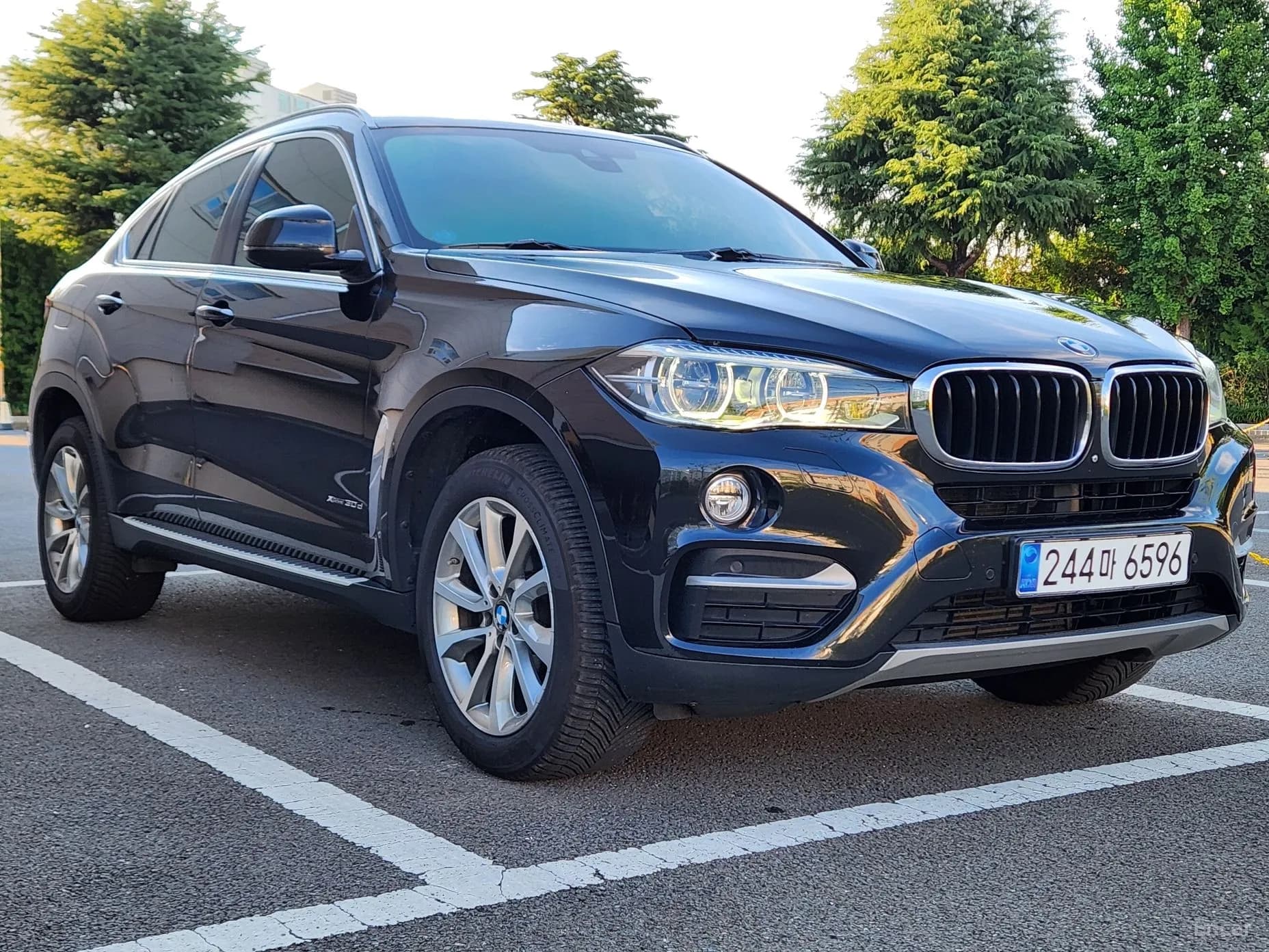 X6 (F16)