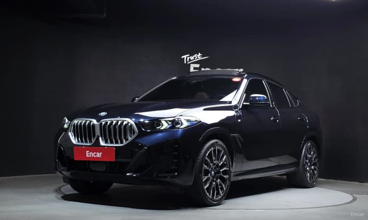 X6 (G06)