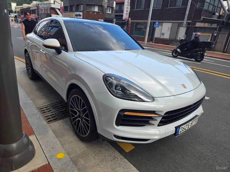 Cayenne (PO536)