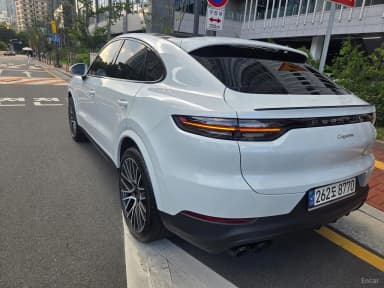 Cayenne (PO536)