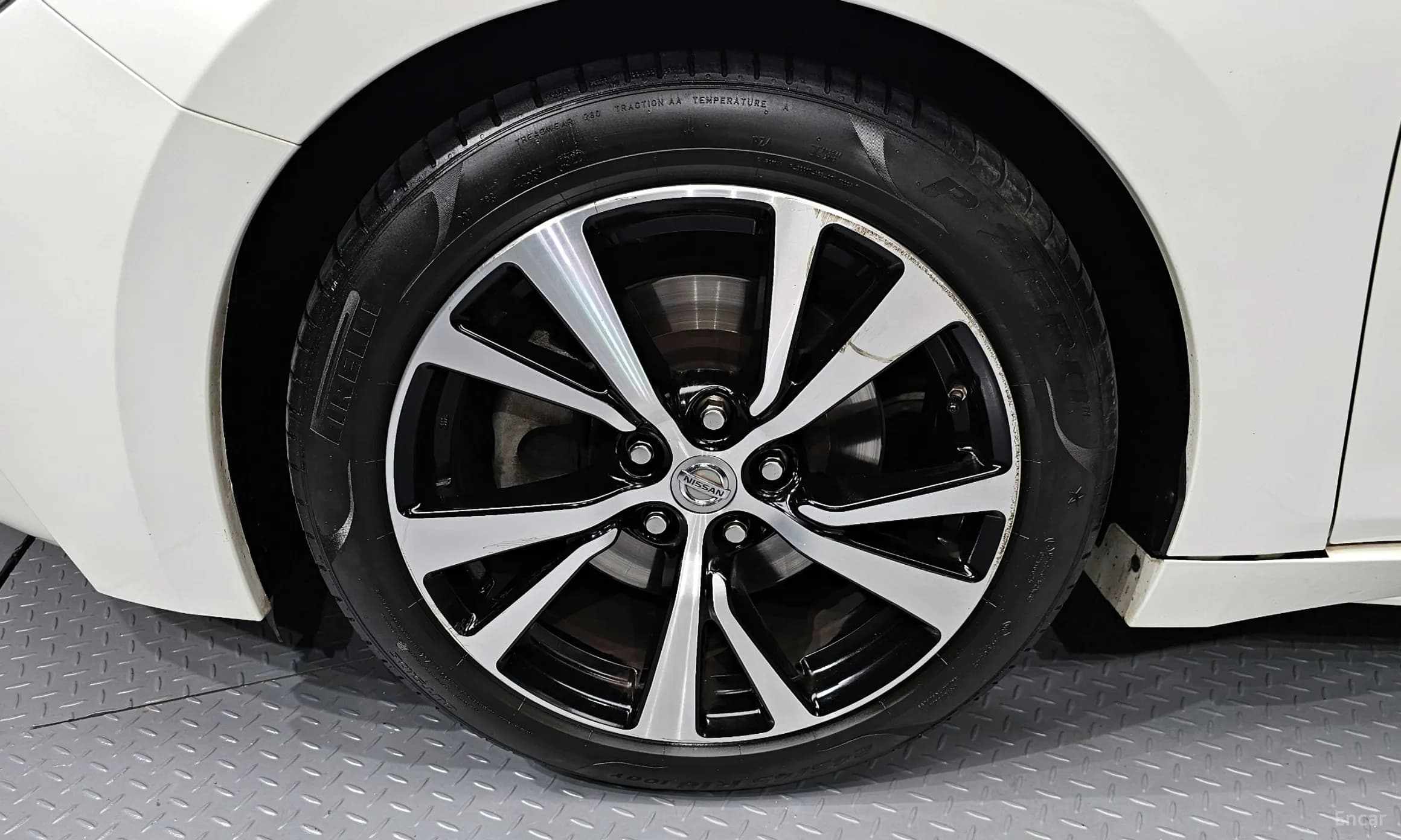 Maxima (A36)