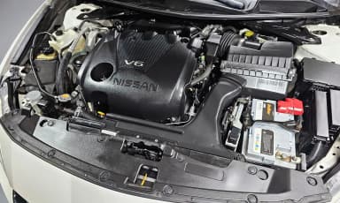 Maxima (A36)