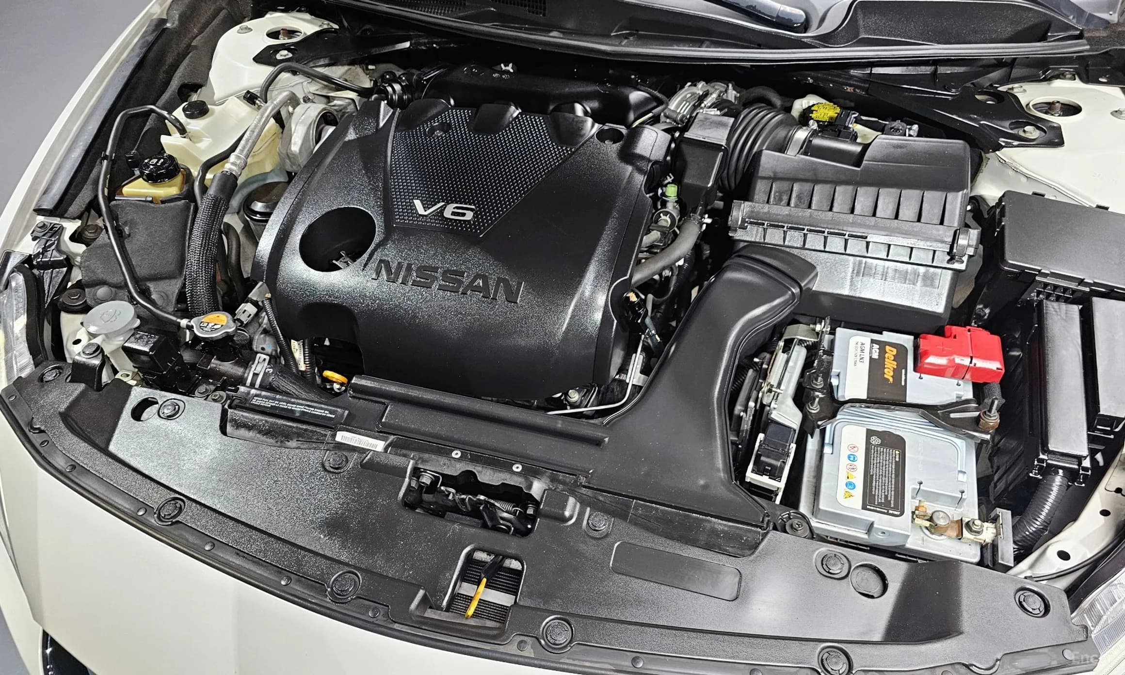 Maxima (A36)