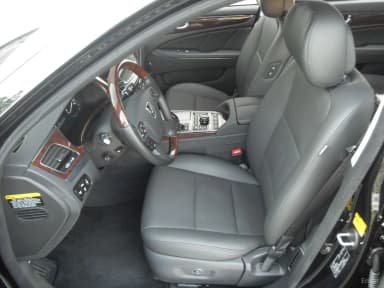 Equus (new)