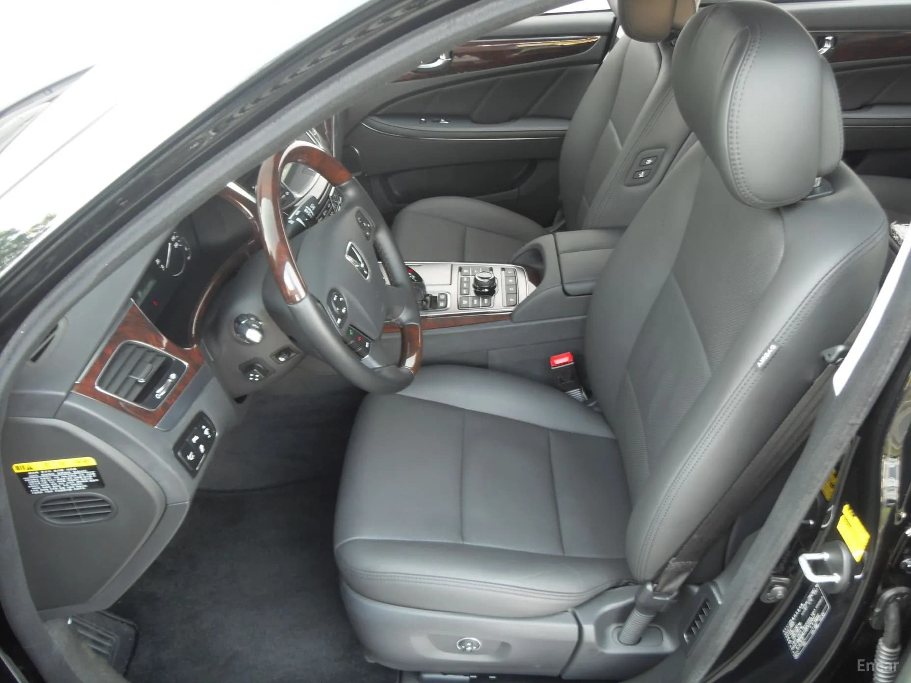 Equus (new)