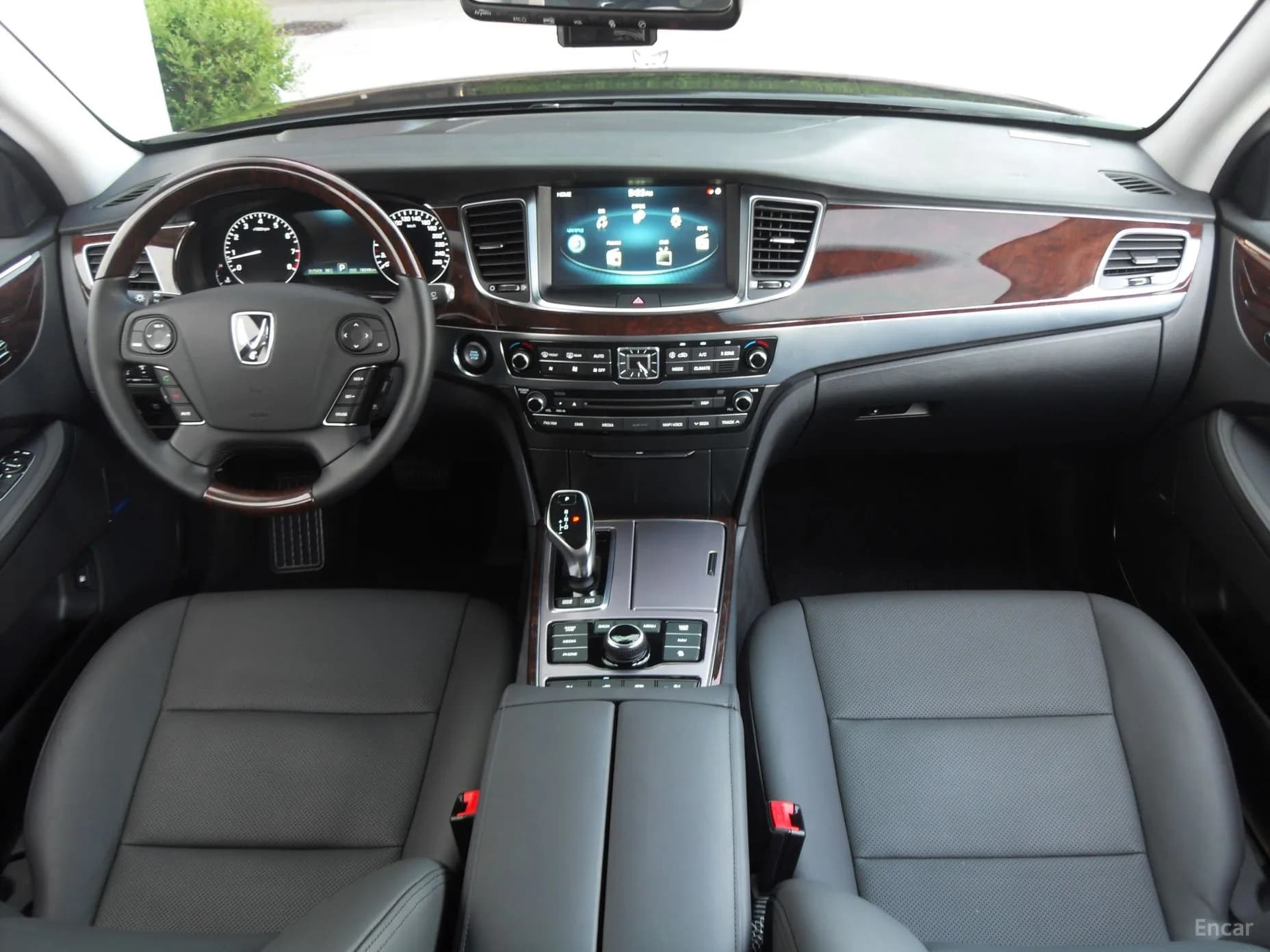 Equus (new)
