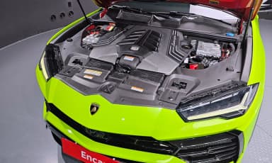 Urus