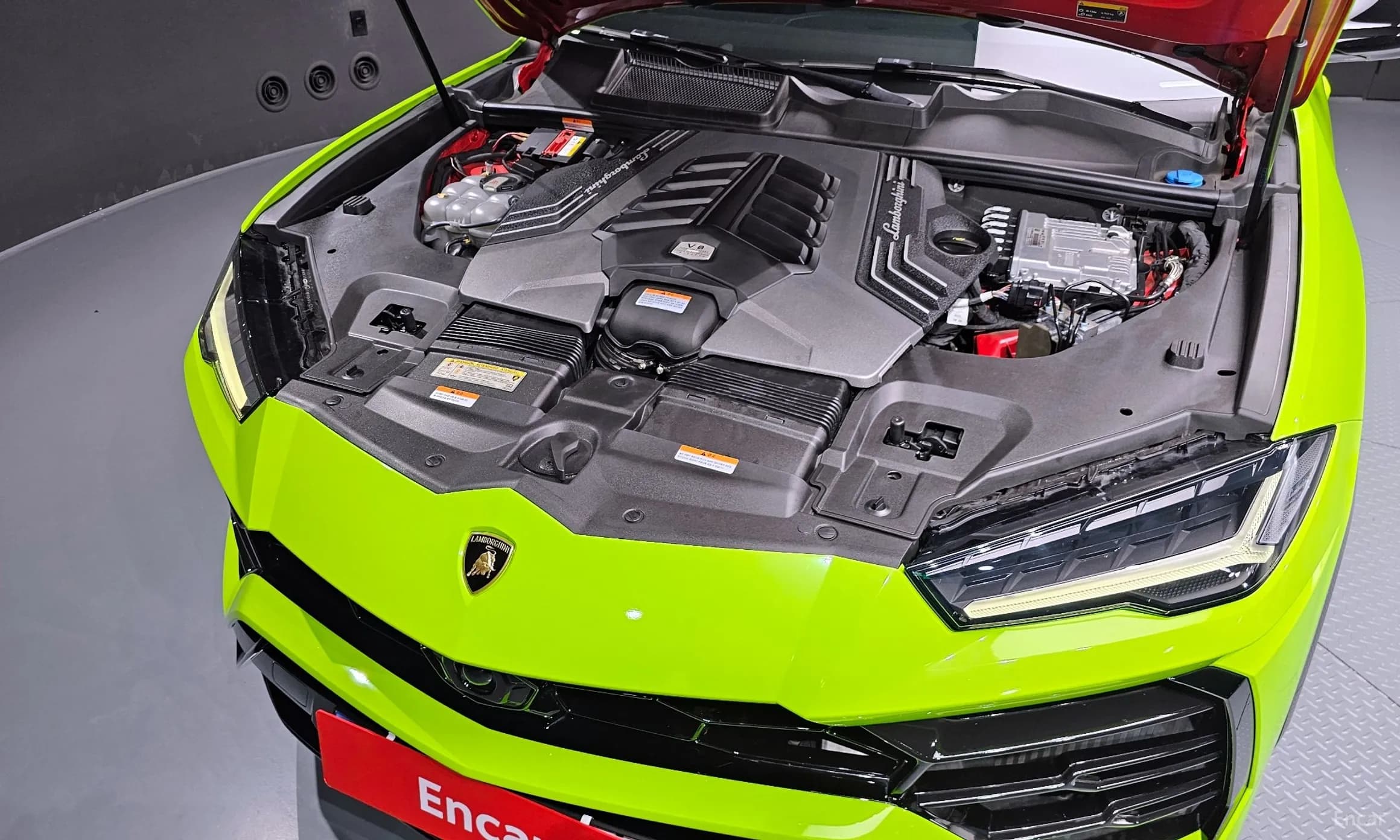 Urus