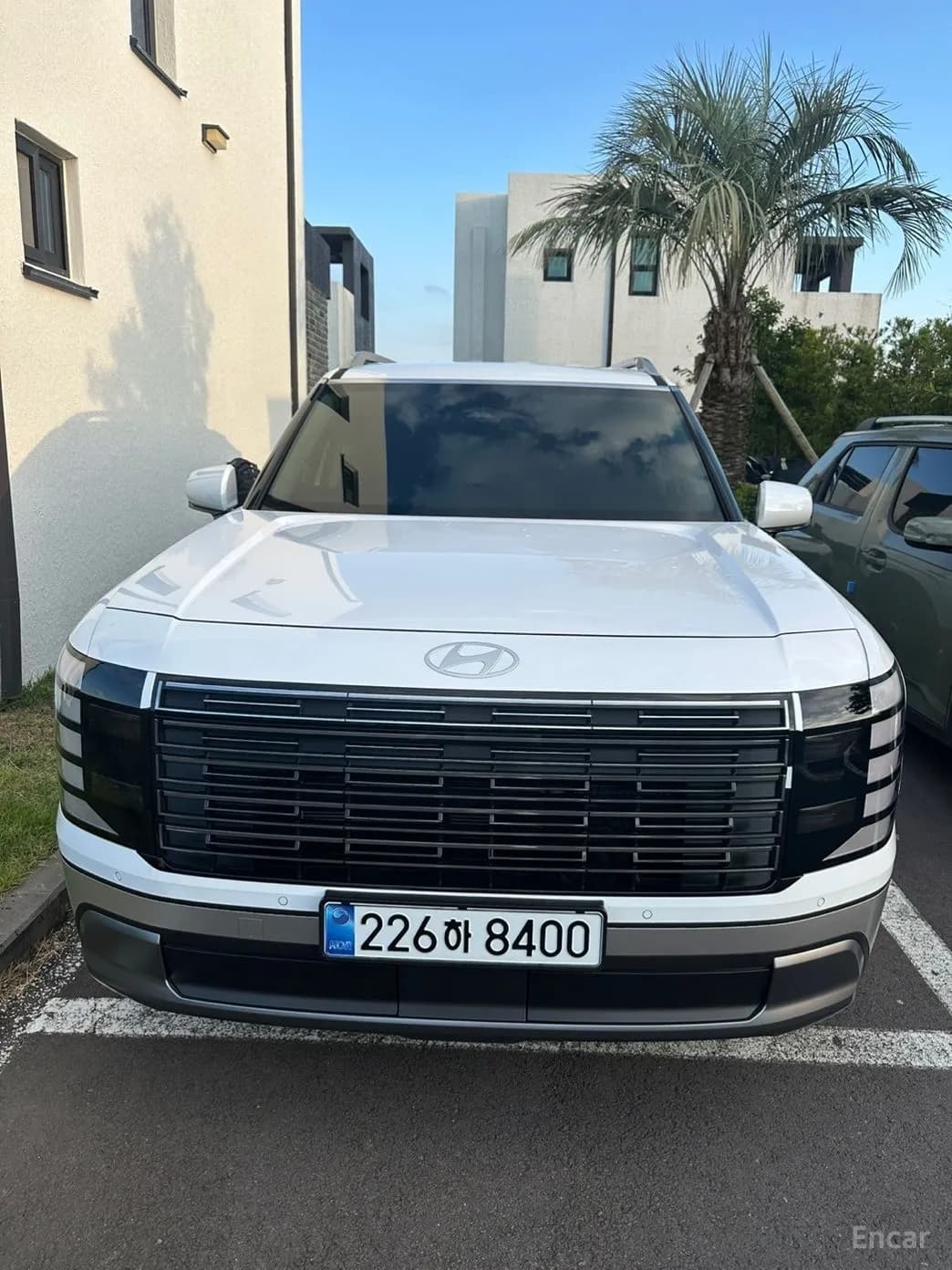 Palisade (LX3)