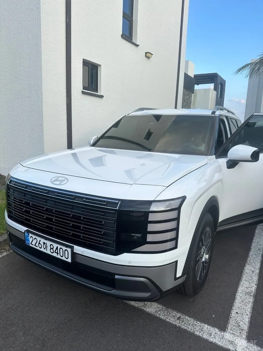 Palisade (LX3)