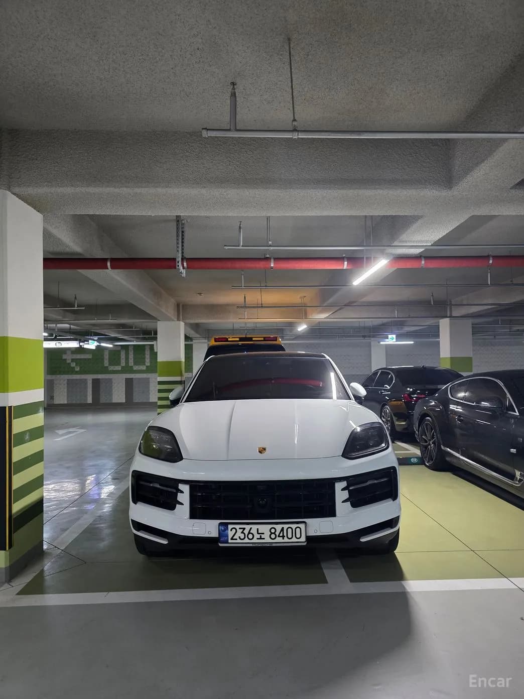 Cayenne (PO536)