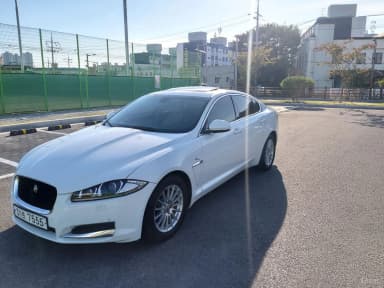 New XF