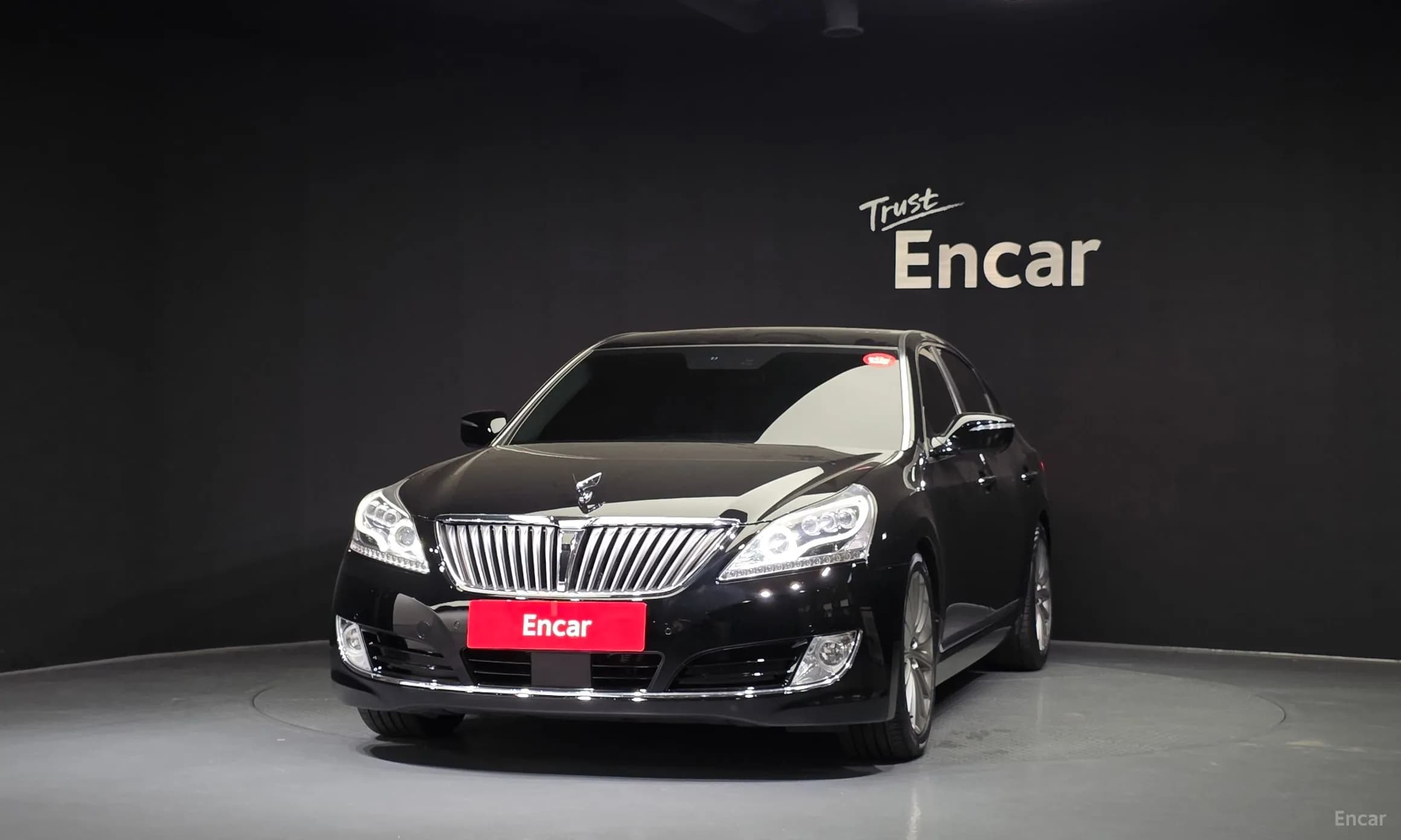 Equus (new)