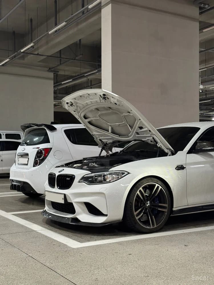 M2 (F87)