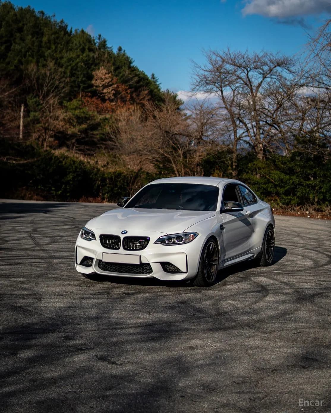 M2 (F87)