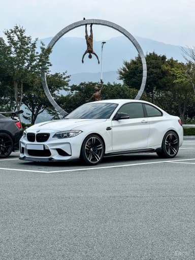 M2 (F87)