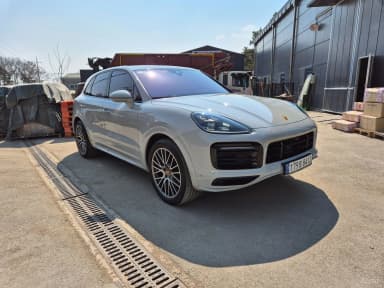 Cayenne (PO536)
