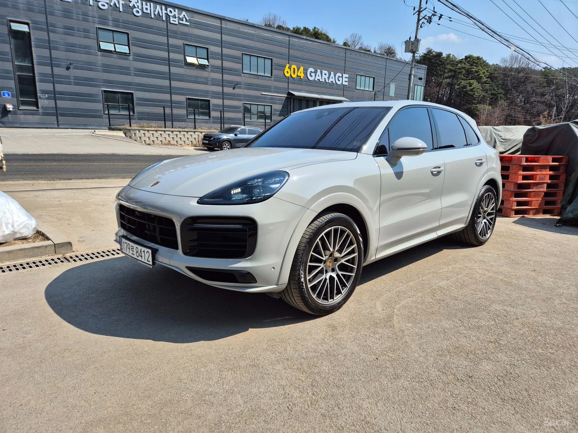 Cayenne (PO536)