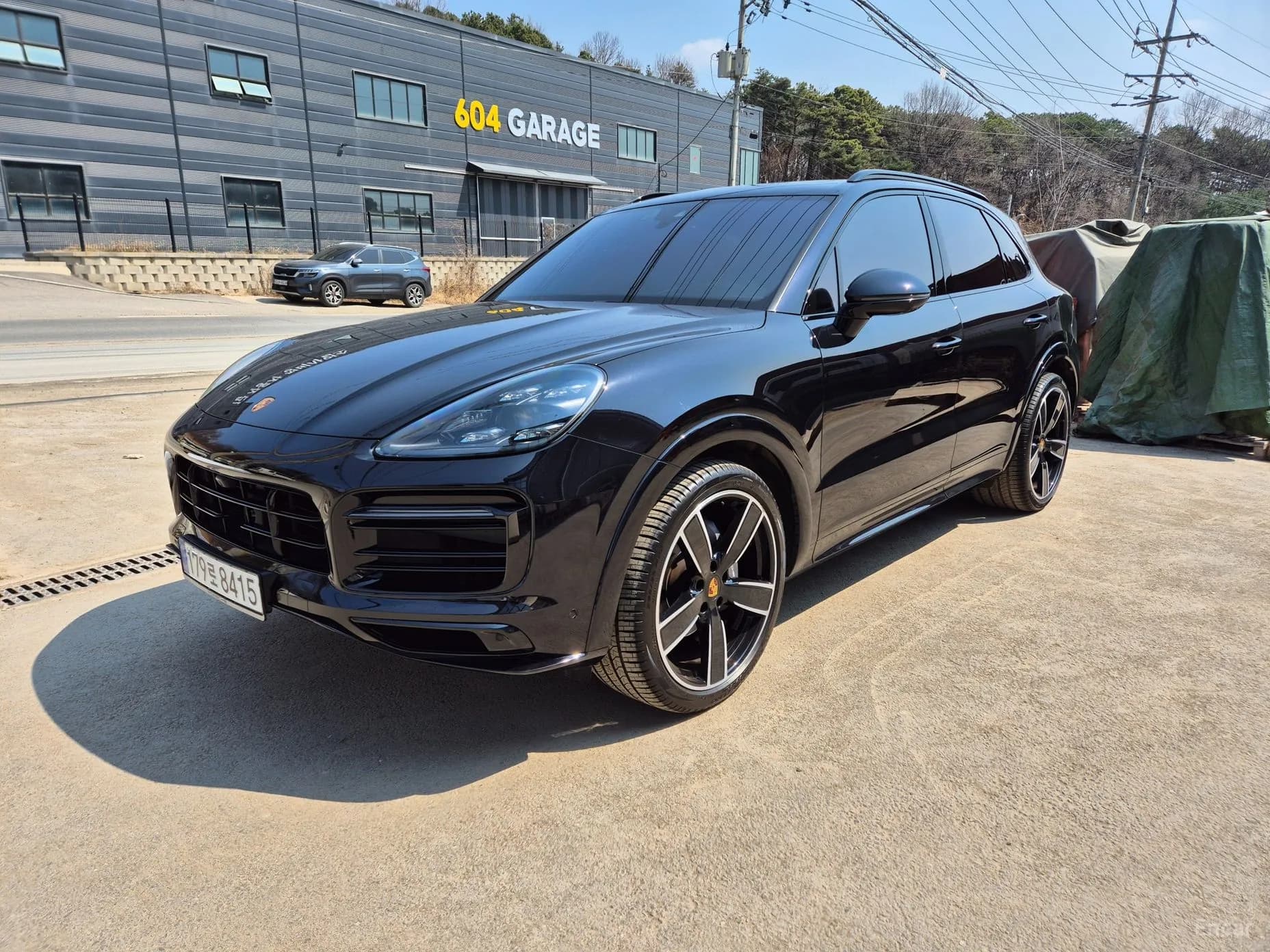 Cayenne (PO536)