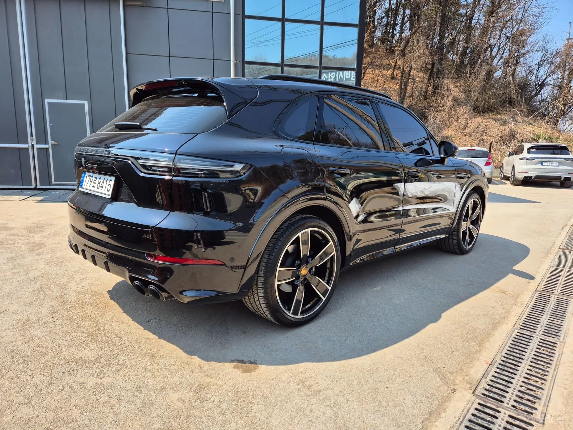 Cayenne (PO536)
