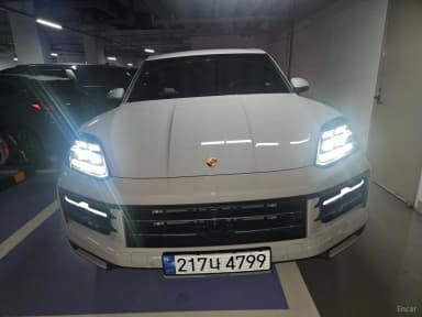 Cayenne (PO536)