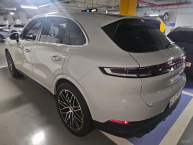 Cayenne (PO536)