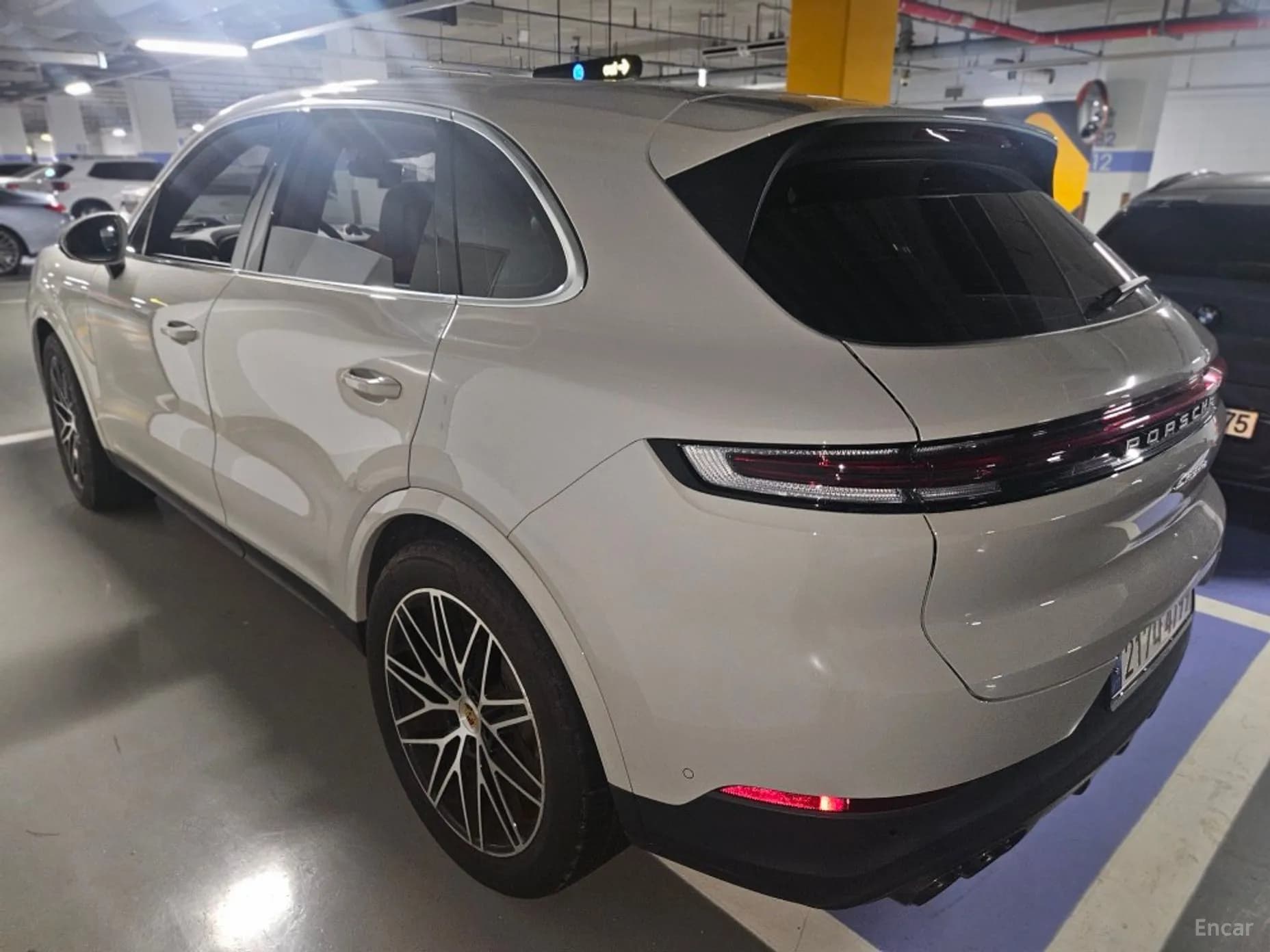 Cayenne (PO536)