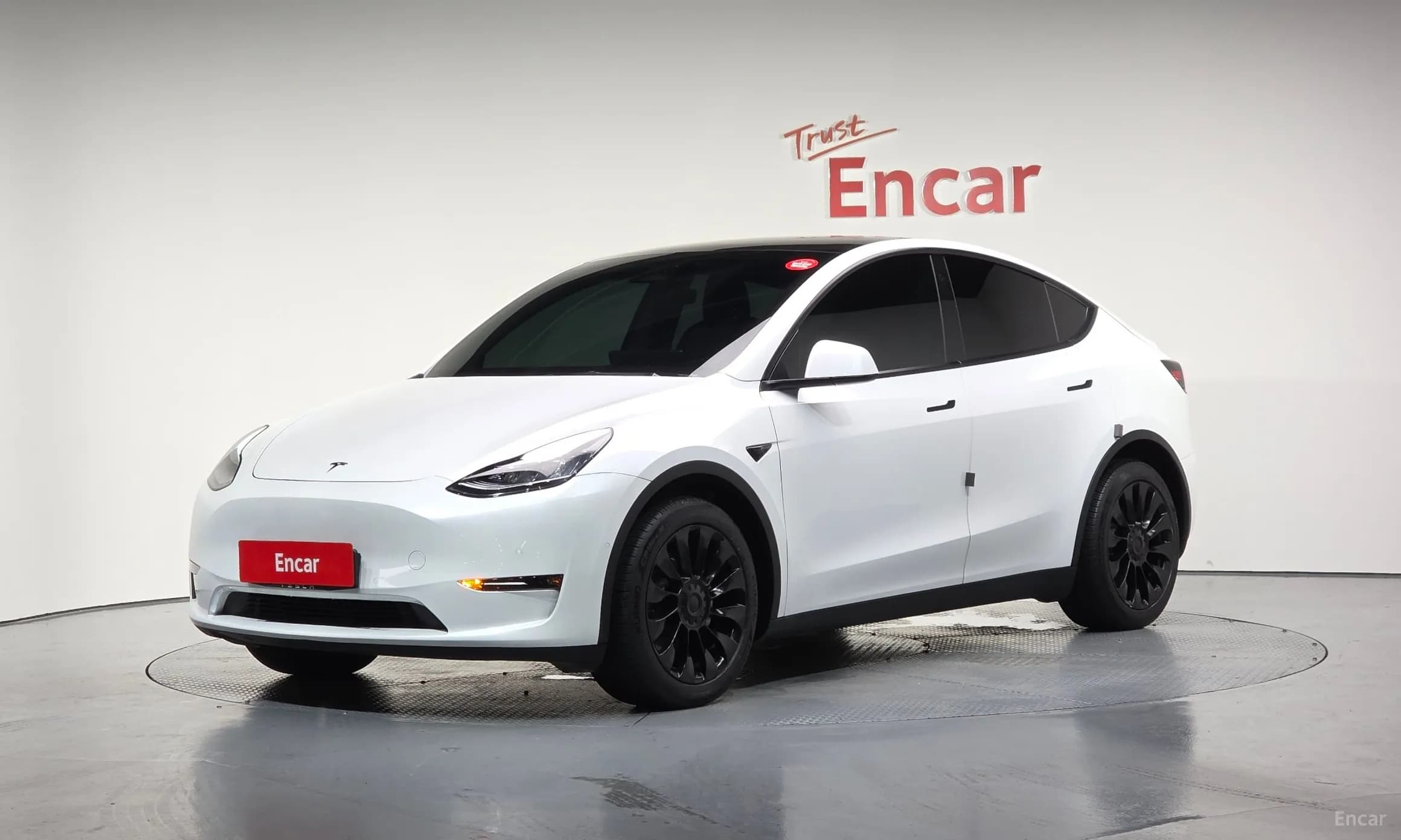 Model Y
