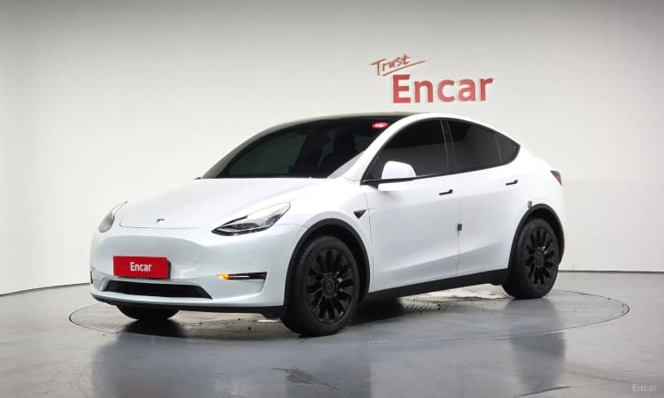 Model Y