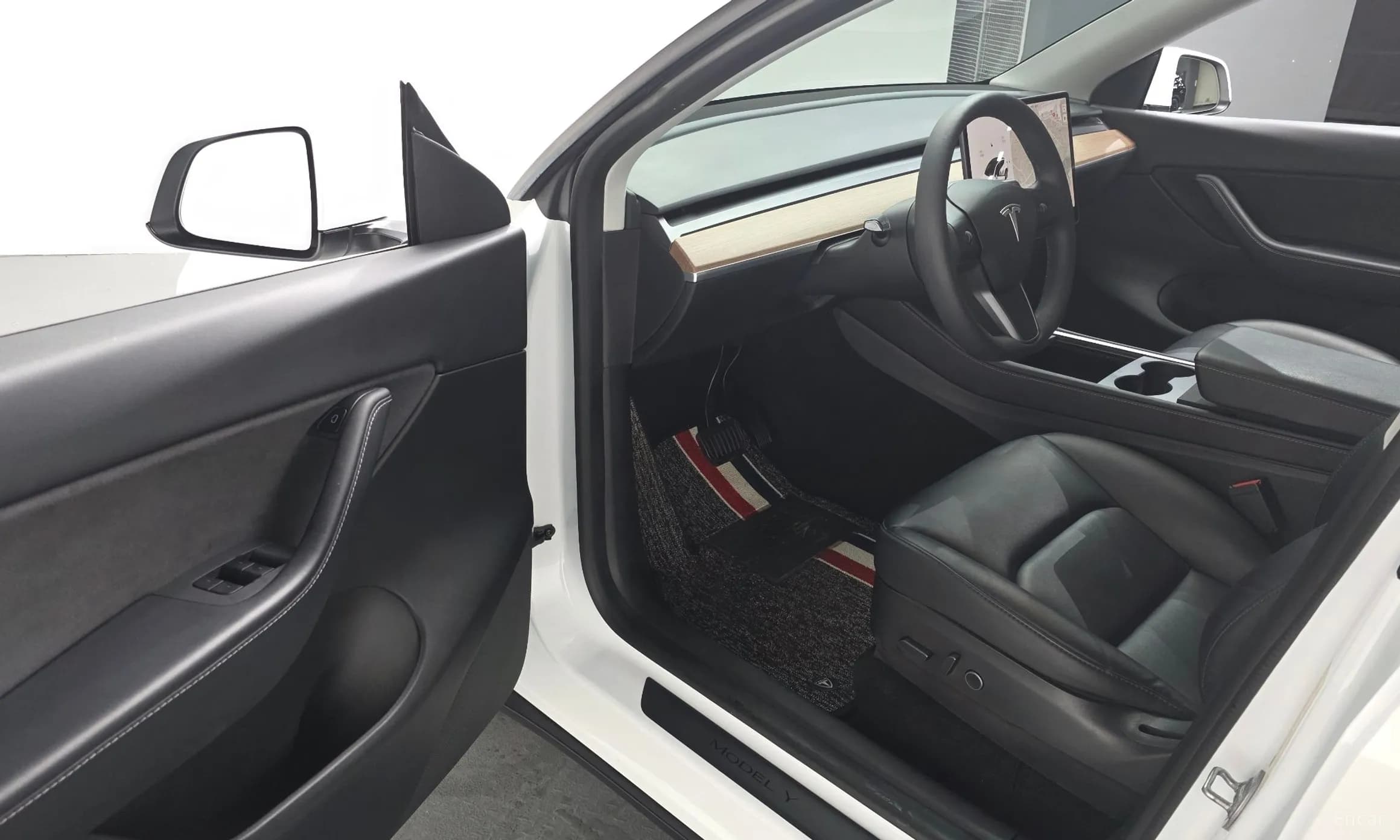 Model Y