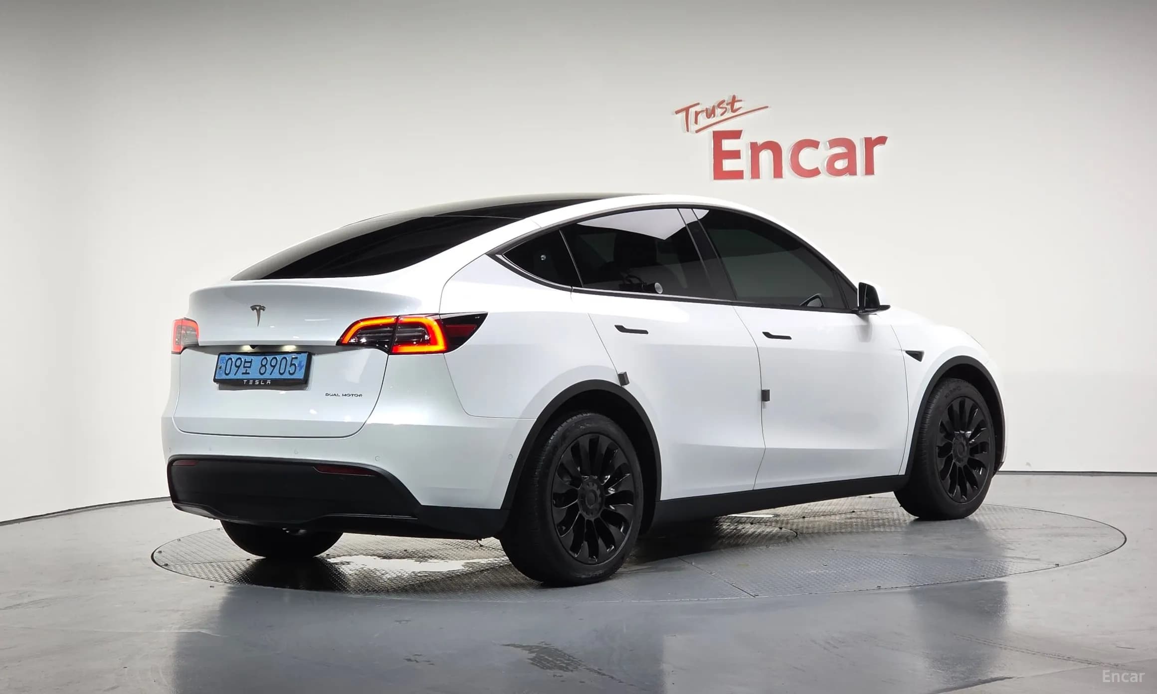 Model Y