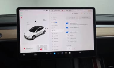 Model Y