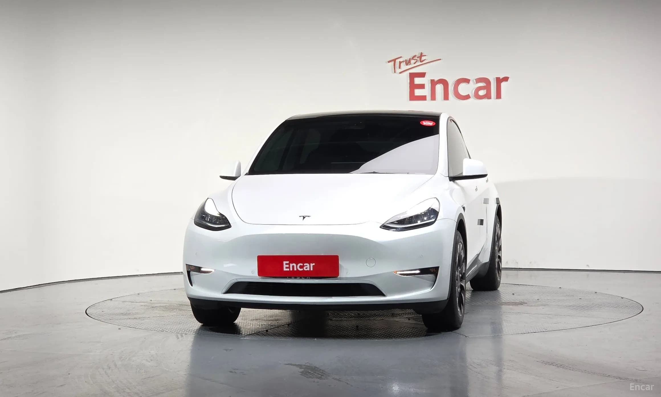 Model Y