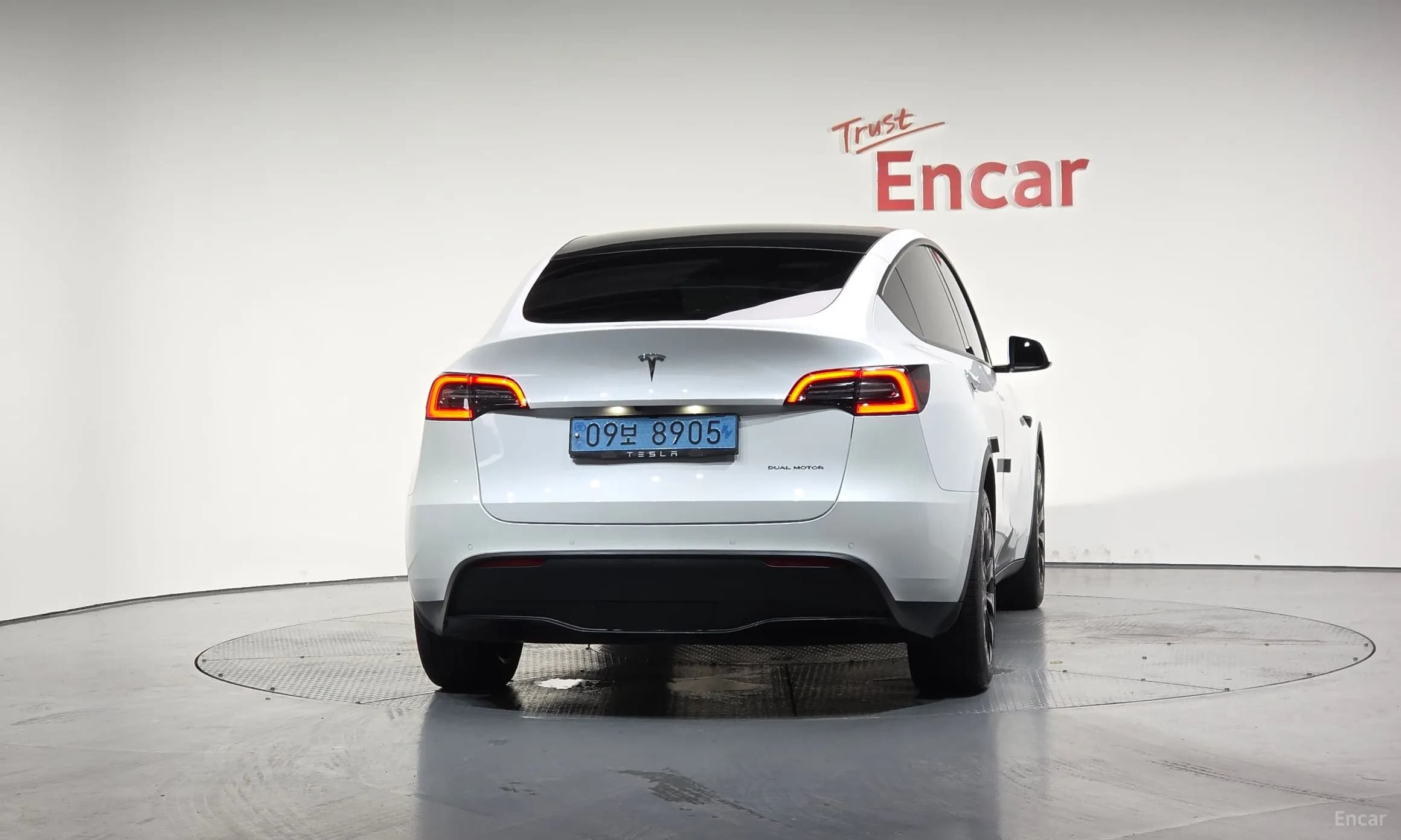 Model Y