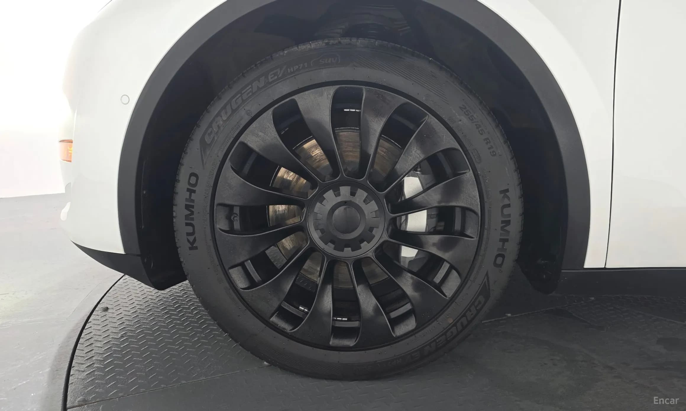 Model Y